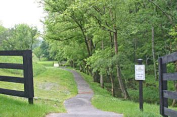 walking trail